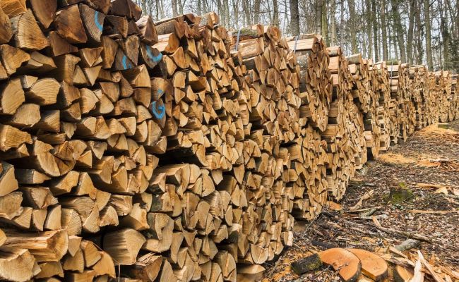 Еще в одном районе Харьковской области начали раздавать бесплатные дрова