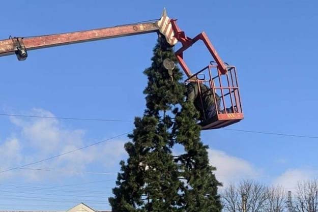 В Харьковской области решили ставить новогодние елки