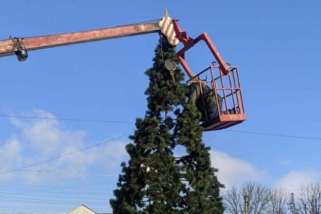 На Харківщині вирішили ставити новорічні ялинки