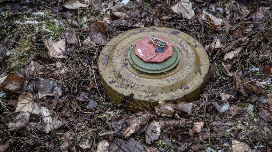 На Харківщині поки що перестали розмінувати поля