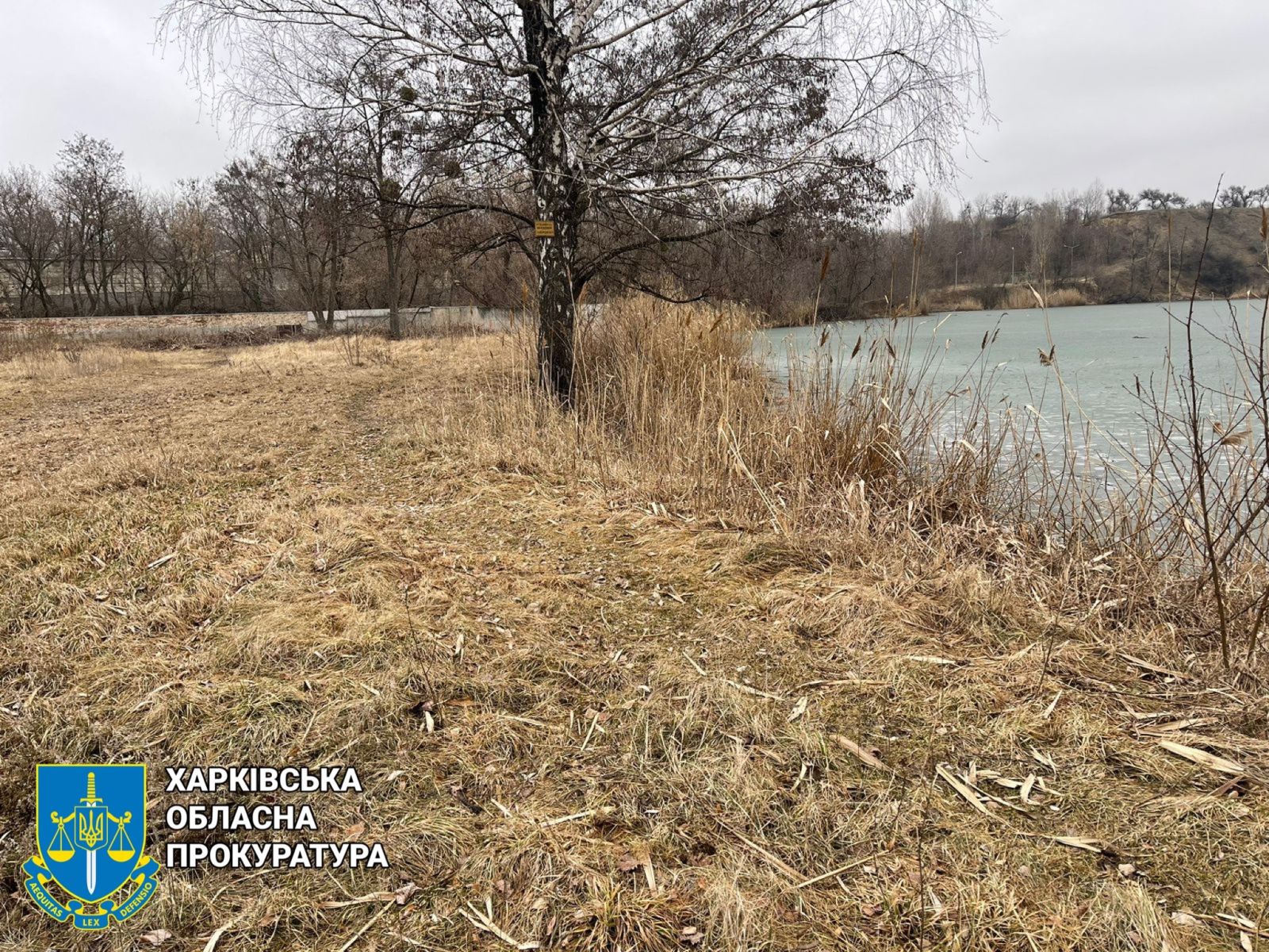 Харьковчанин захватил кусок земли на берегу озера в черте города