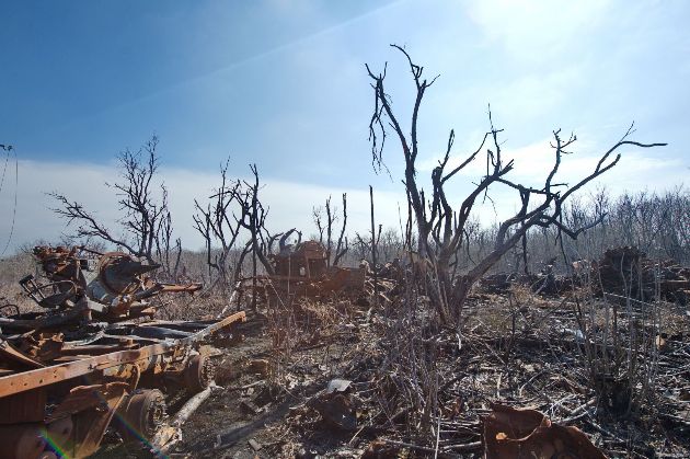 Росіяни спалили 20 тисяч гектарів лісу на Харківщині
