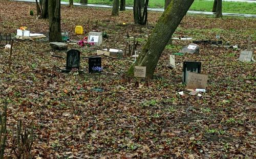 Харків'яни влаштували цвинтар домашніх тварин посеред спального району