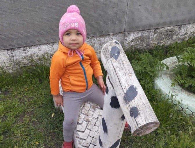В Харьковской области пропала двухлетняя девочка: фото, приметы (обновлено)