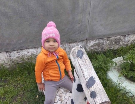 В Харьковской области вторые сутки ищут пропавшую двухлетнюю девочку (фото, видео)