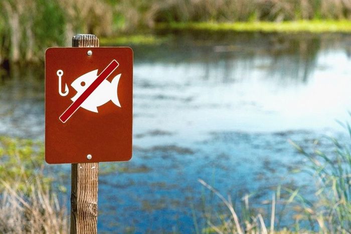 В одном из районов Харьковской области запретили рыбалку