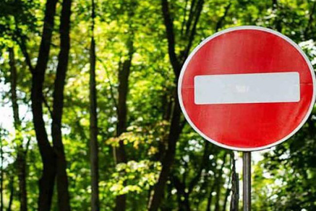 В одном из районов Харьковской области людям запретили ходить в леса