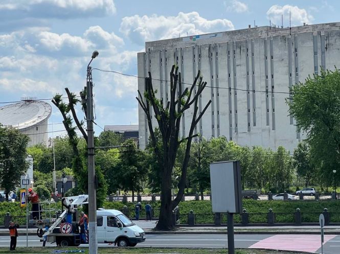 Возле "Стрелки" появится пешеходный переход