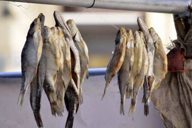 Харьковчан предупреждают о ботулизме и призывают не покупать рыбу на рынках