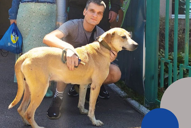 Харьковчанин нашел свою собаку, которая пропала больше года назад