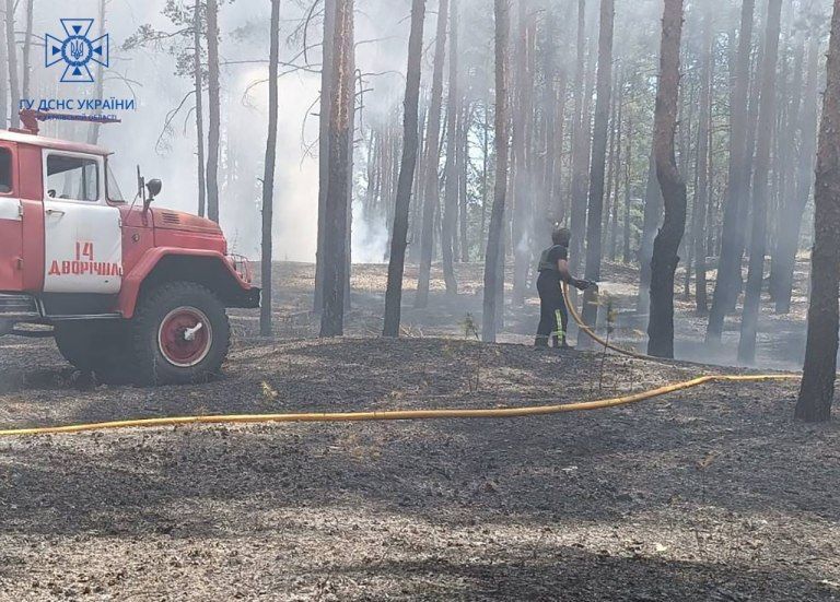 В Харьковской области после обстрелов - крупные лесные пожары (фото)
