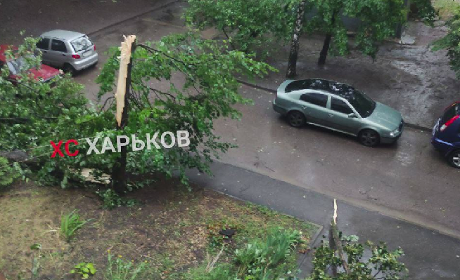 В Харькове - ливень: затопило супермаркет, по городу падают деревья