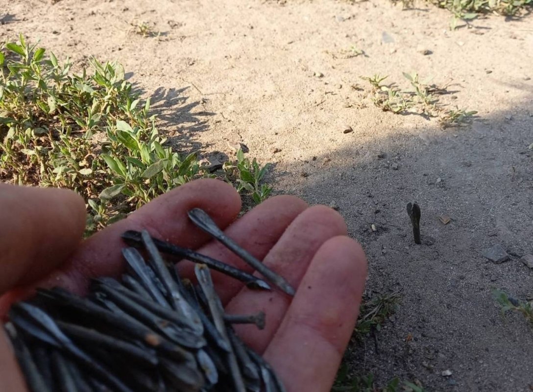 РФ начала использовать в Харьковской области запрещенные снаряды - Цаплиенко