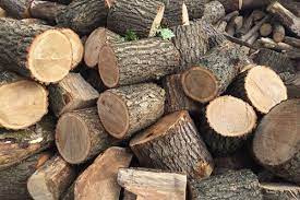Жители Харьковской области жалуются на дороговизну дров