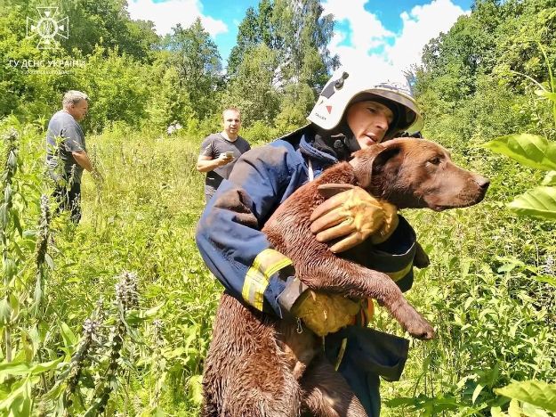 Под Харьковом из глубокого колодца спасли собаку