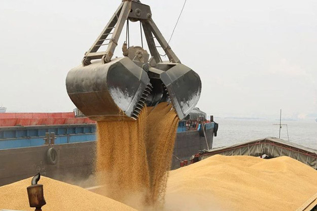 Для харьковских аграриев расторжение "зерновой сделки" может иметь катастрофические последствия