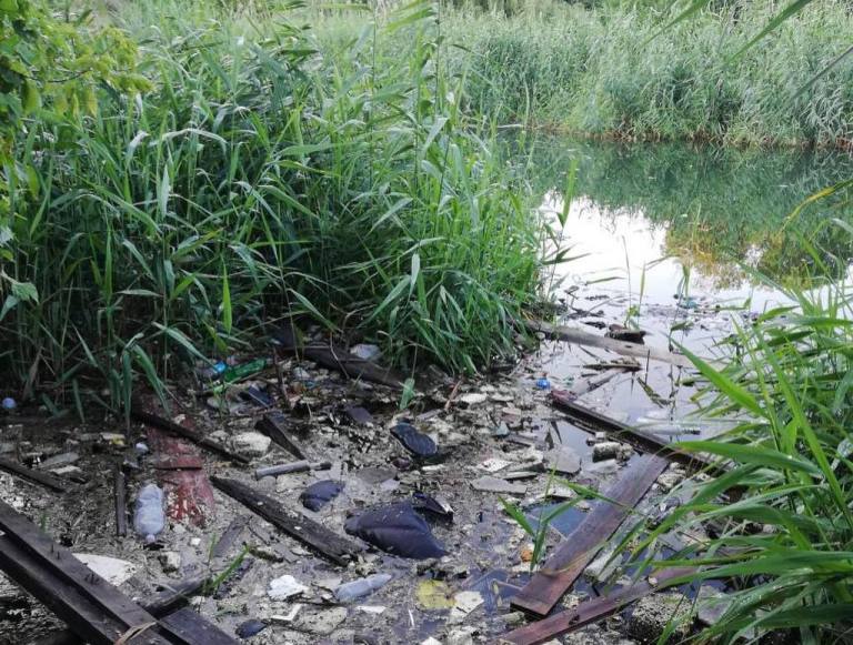 Озеро в Харькове завалили мусором: фото
