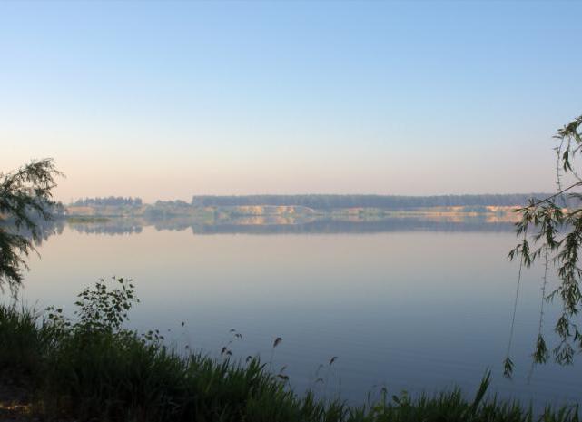 У водоймі Харкова знайшли збудника холери