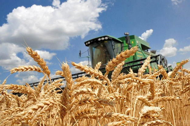 1 миллион тонн зерна уже собрали в Харьковской области