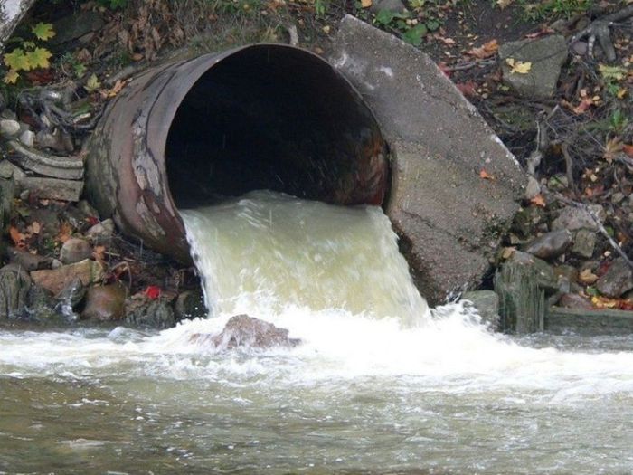 Стоки отравили реку в Харьковской области (дополнено)