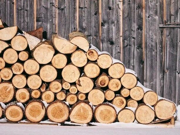 Жители курортного поселка под Харьковом могут бесплатно получить дрова