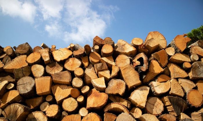 Бесплатные дрова обещает Кабмин жителям Харьковской области