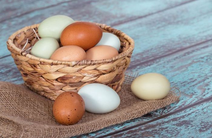 Производство яиц в Харьковской области сократилось вдвое