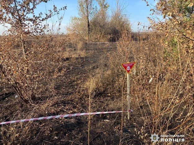 Директор фермерского предприятия подорвался на мине в Харьковской области