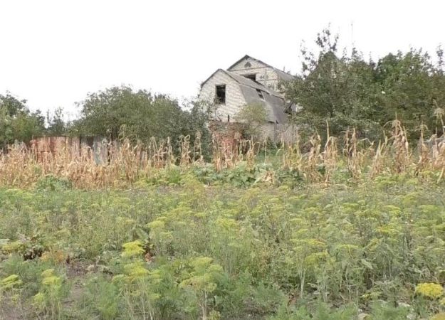 В селе-призраке в Харьковской области живет только одна женщина (видео)