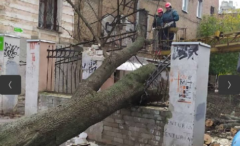 Ураган у Харкові: дерево впало на людей, постраждали дахи будинків, машини, поліклініка