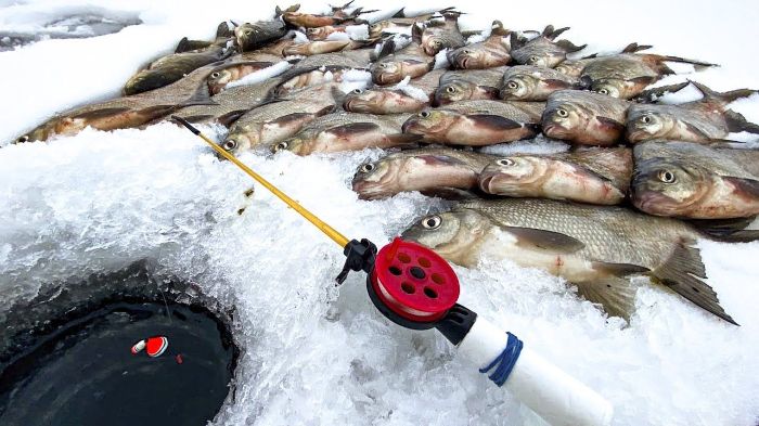 Где запрещено ловить рыбу в Харьковской области: список мест
