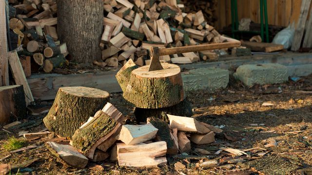 У Харківській області аварійні дерева пустили на опалення