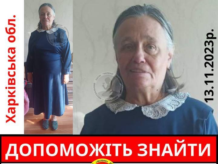Жінка з втратою пам'яті зникла в Харківській області