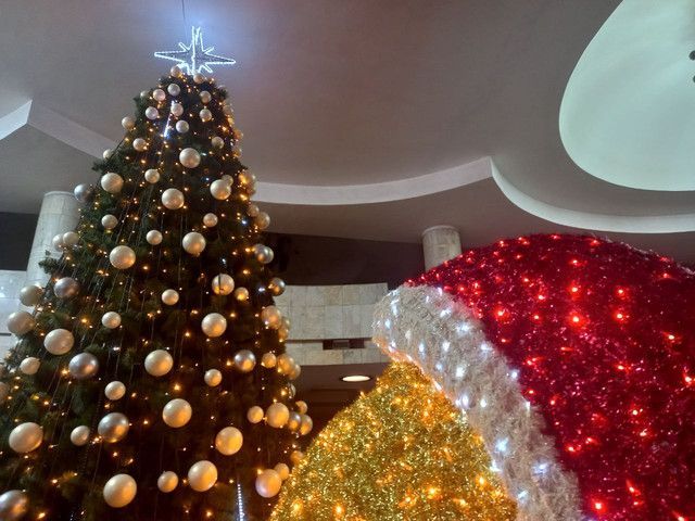 В Харькове новогоднюю елку снова установят в метро