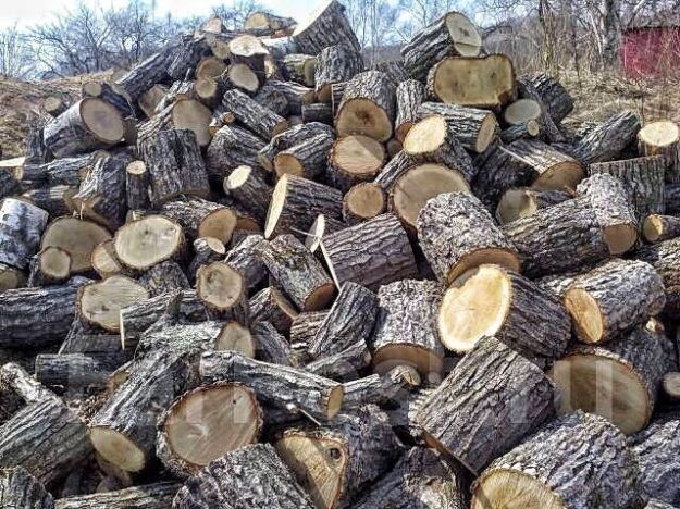 Бесплатные дрова получили 20 из 40 тысяч семей в Харьковской области