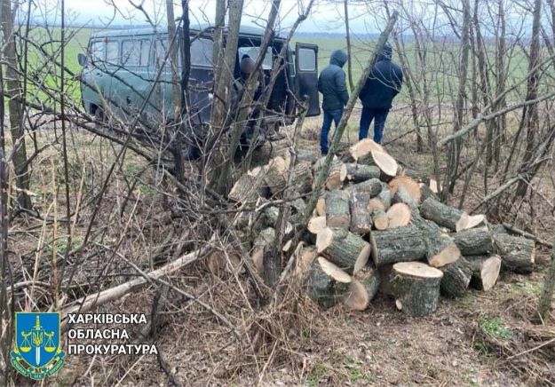 Черные лесорубы срубили 200 деревьев в Харьковской области