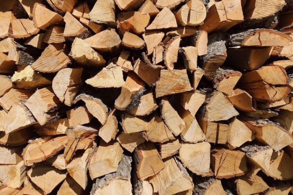 Еще 18 тысяч семей Харьковской области получат бесплатные дрова