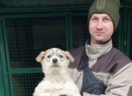 В Харькове 3 щенка чуть не погибли в канализации (видео)