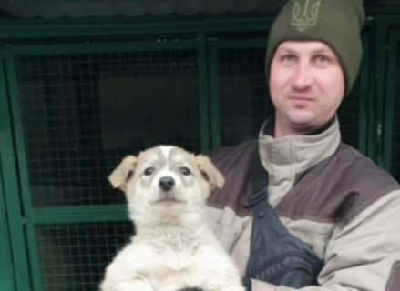 У Харкові 3 цуценята мало не загинули в каналізації (відео)