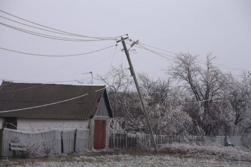 В Харьковской области непогода повалила сотни деревьев (фото)
