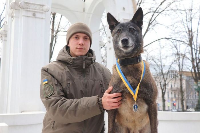 7 служебных собак в Харькове наградили медалями