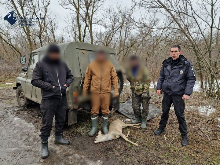 В багажнике машины в Харьковской области нашли мертвую косулю