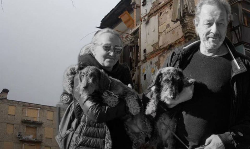Прах собак, погибших от ракетного удара по Харькову, похоронят с хозяевами