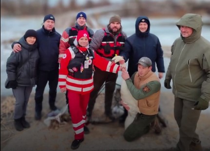 На Харківщині врятували пораненого лебедя