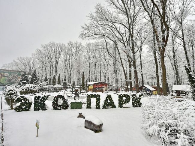 "Фельдман Екопарк" будує хоспіс для тварин