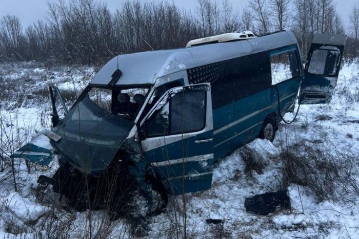 Микроавтобус с пассажирами врезался в грузовик в Харьковской области (фото)