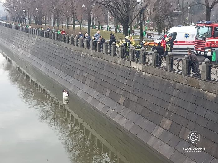 В центре Харькова из реки достали женщину (фото, видео)