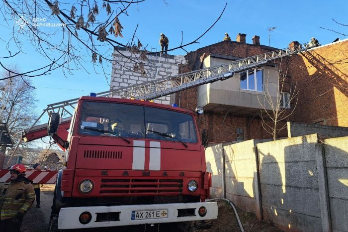 Понад 20 котів загинули на пожежі в Харкові