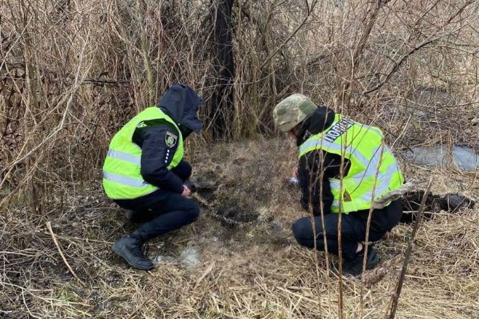 В Харьковской области собаки нашли человеческие кости