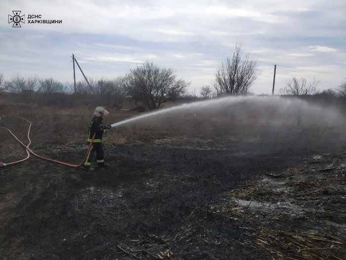 Вогонь на відкритій місцевості мало не перекинувся на житлові будинки (фото)